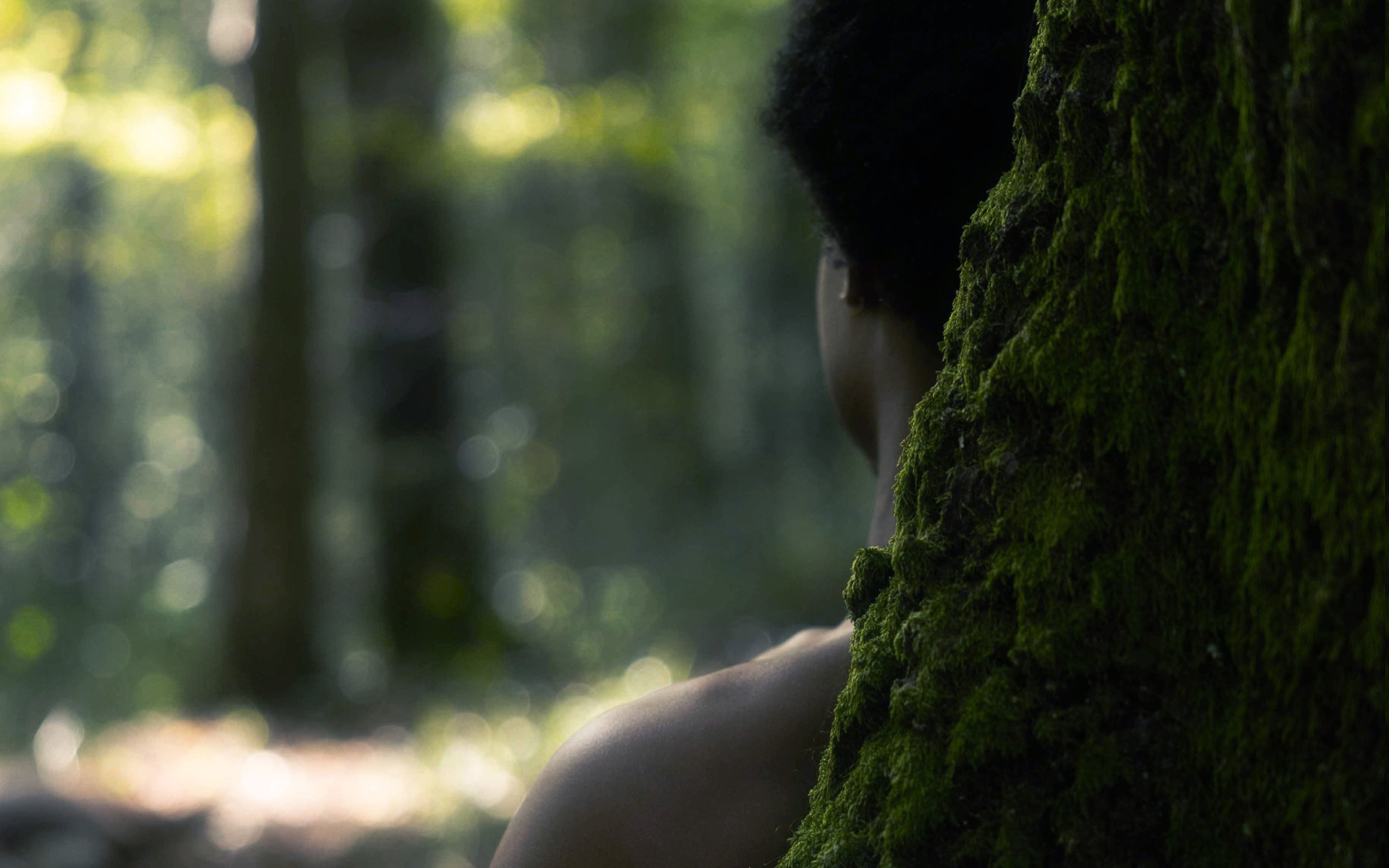Media parallax