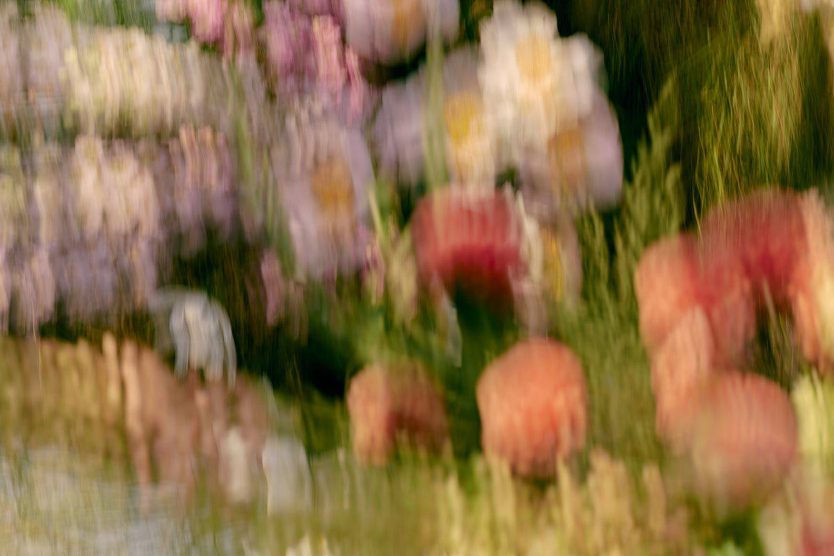 BLOOM AWAY